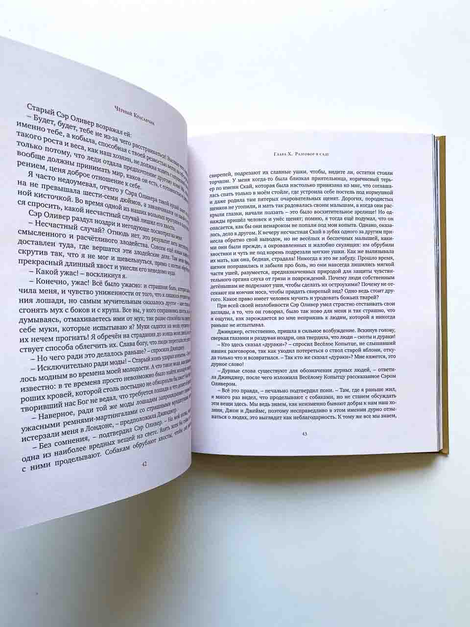 Черный Красавчик - Image 3