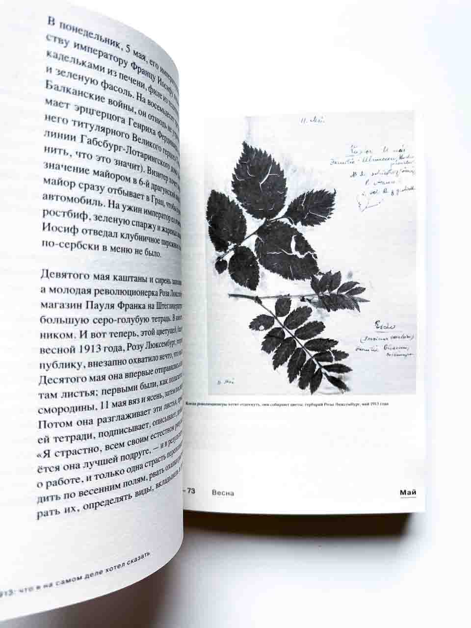 1913. Что я на самом деле хотел сказать - Image 7