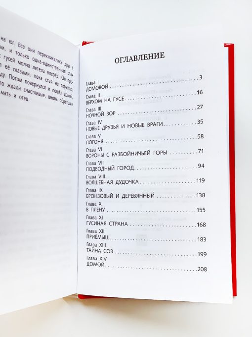 Чудесное путешествие Нильса с дикими гусями - Image 2