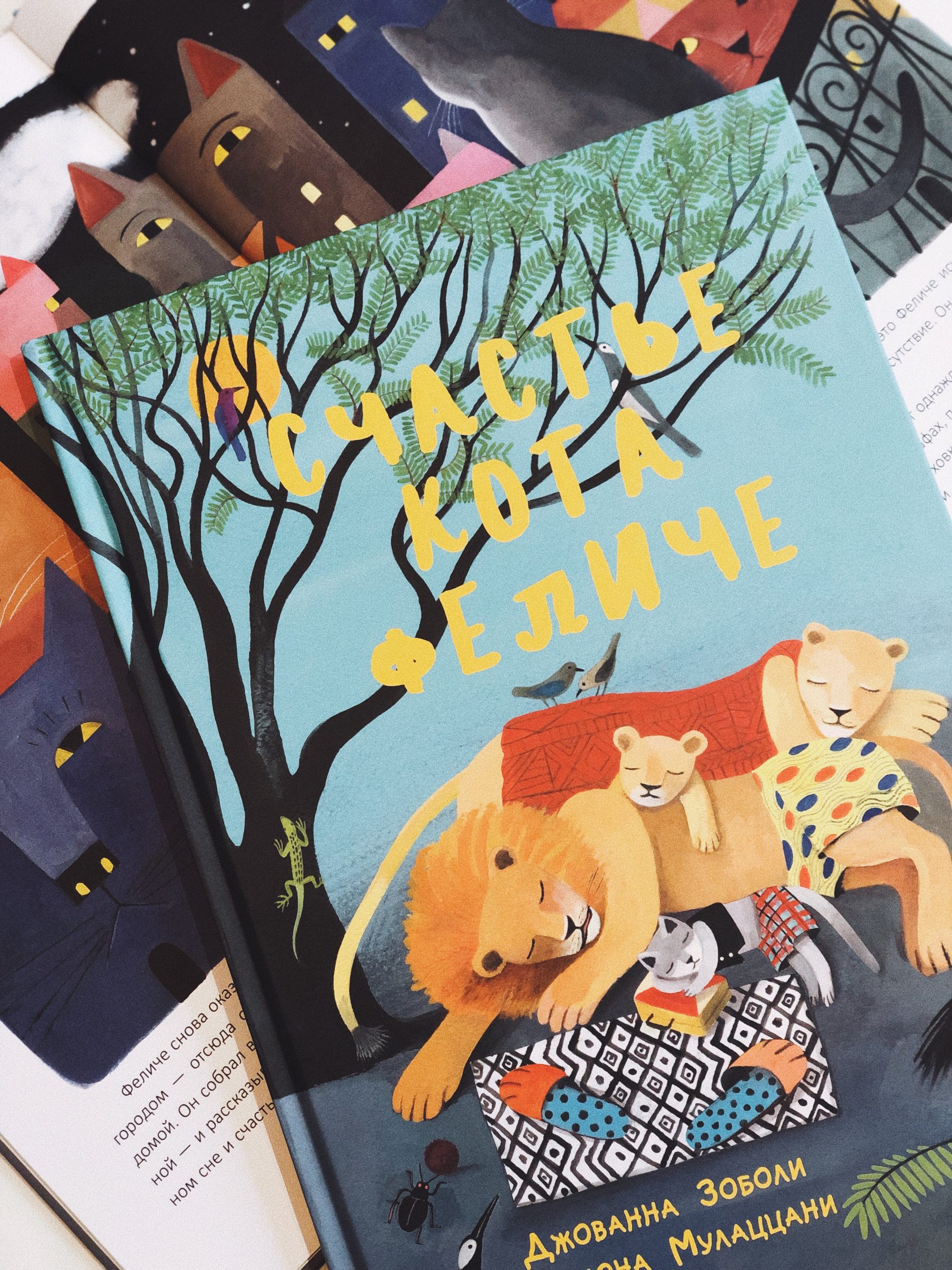 Счастье кота Феличе