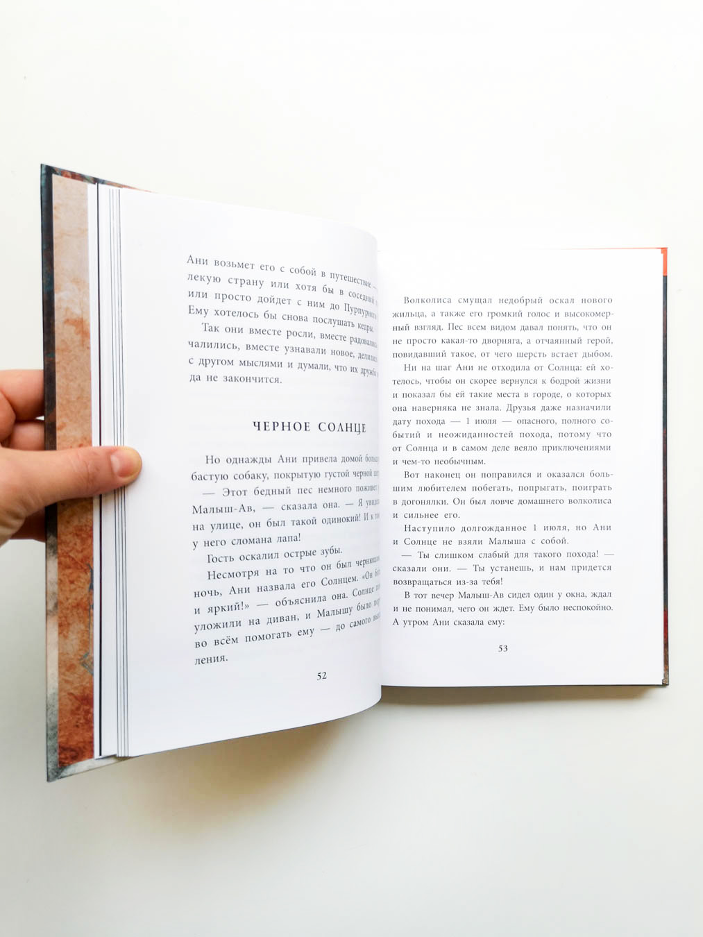 Держиоблако - Image 3