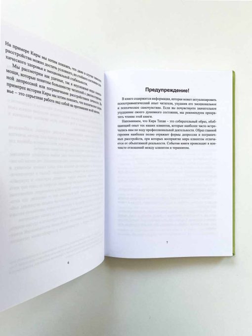 Девочка-Хамелеон. Жизнь с психическим заболеванием, а также история излечения - Image 6