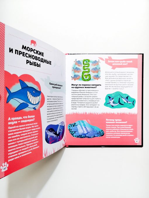 Дикие животные - Image 4