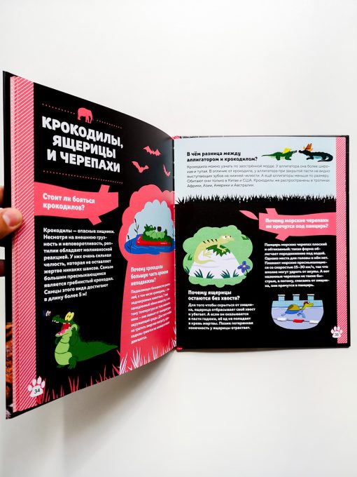 Дикие животные - Image 6
