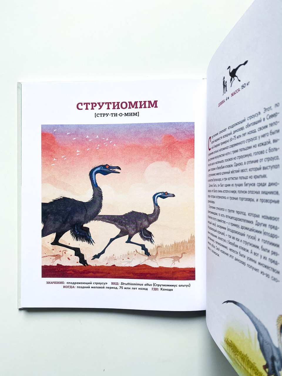 Динозавры. Ящеры мезозоя - Image 3