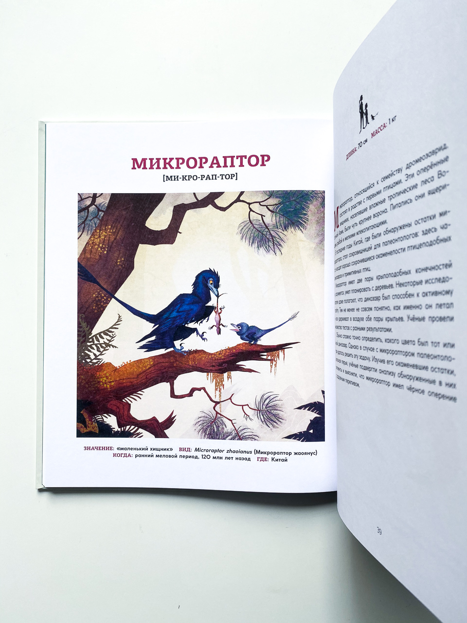 Динозавры. Ящеры мезозоя - Image 2