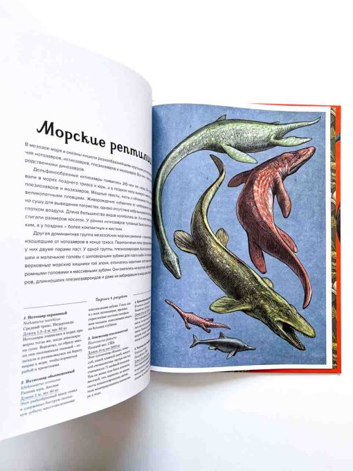 Динозавриум - Image 3