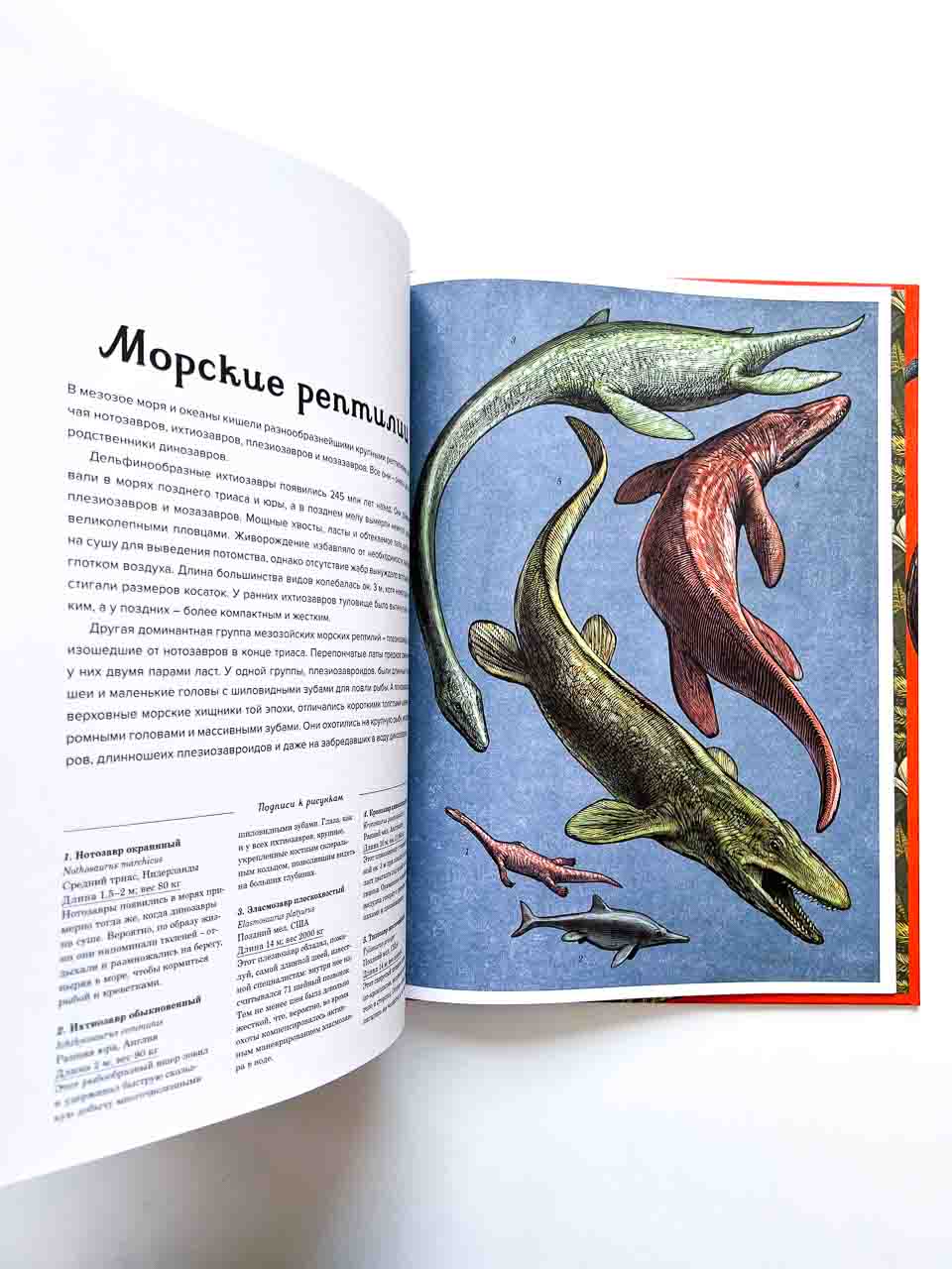 Динозавриум - Image 3