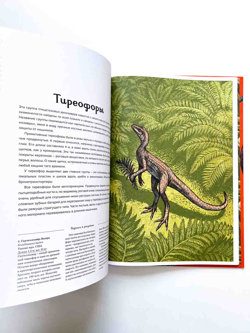 Динозавриум - Image 4