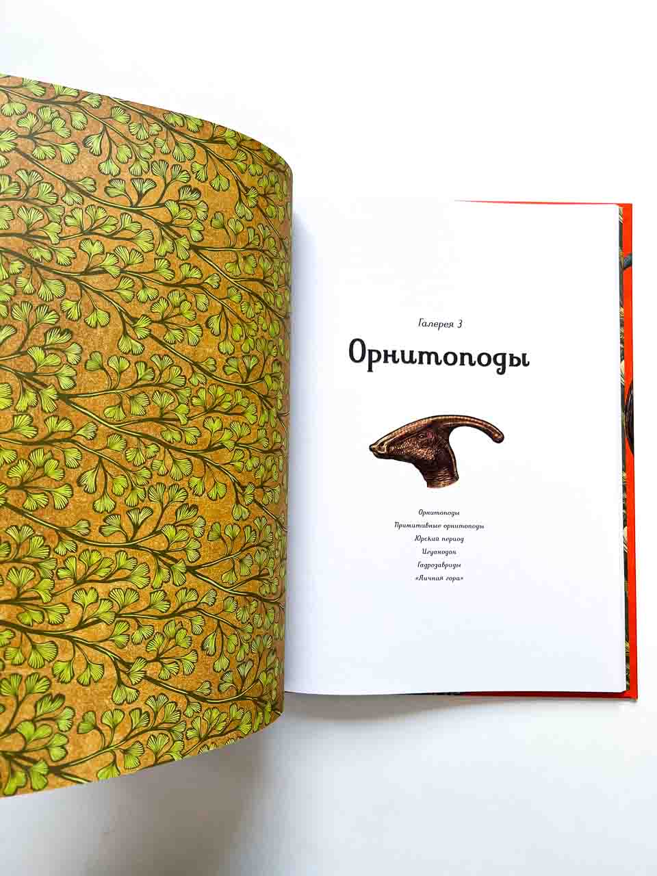 Динозавриум - Image 5