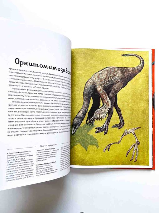 Динозавриум - Image 6