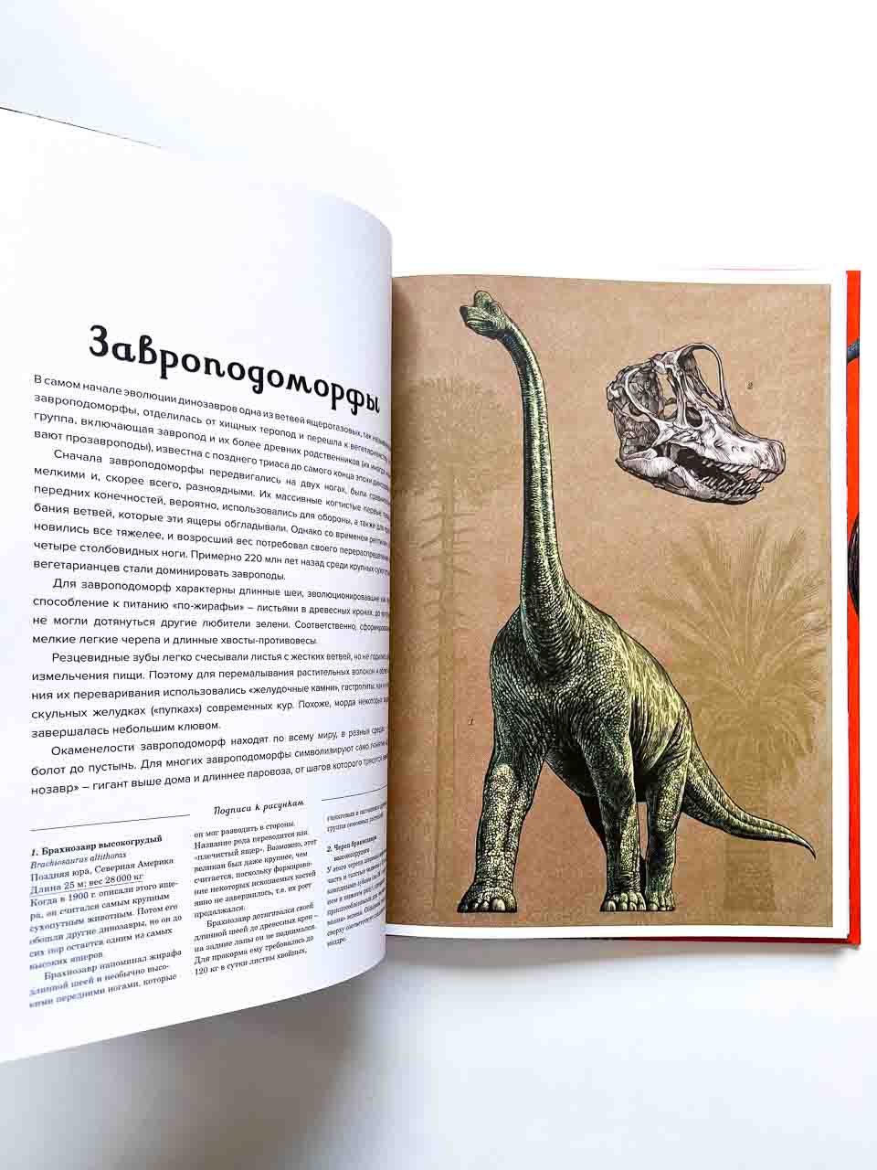 Динозавриум - Image 8