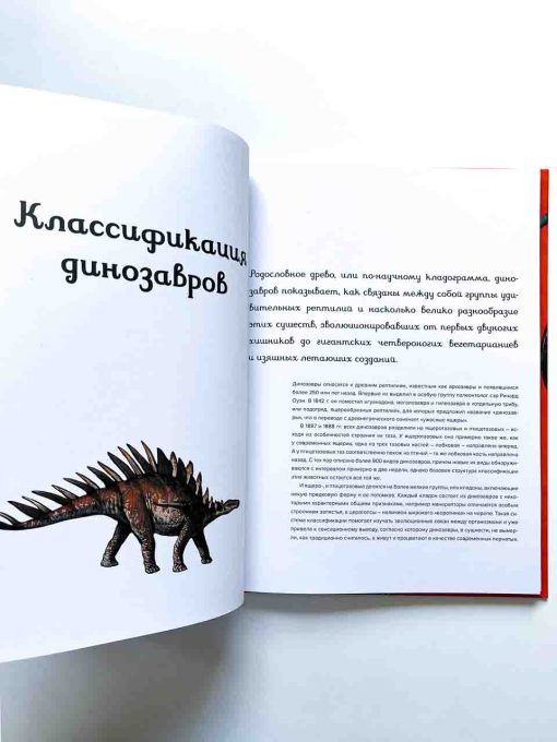 Динозавриум - Image 9