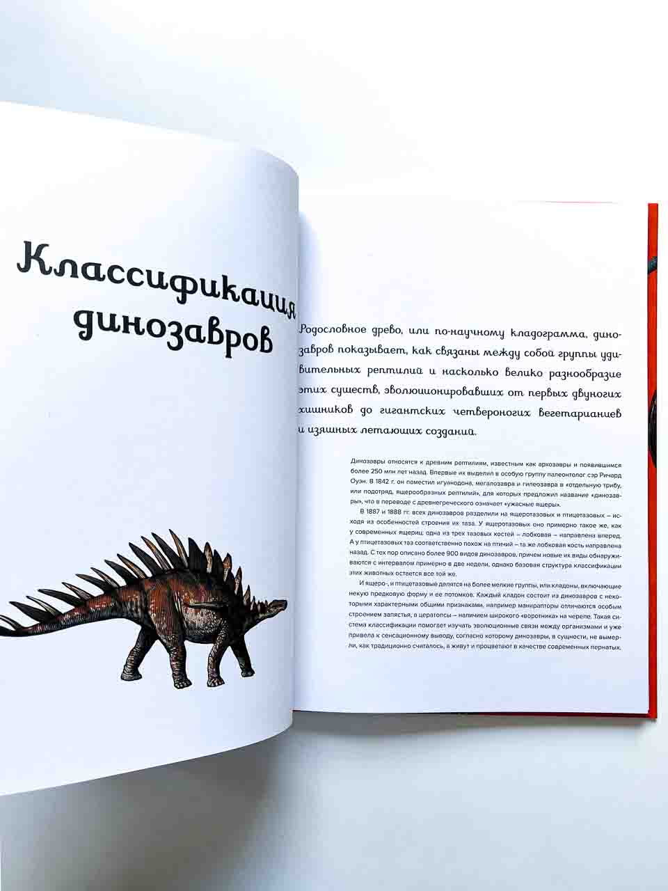 Динозавриум - Image 9