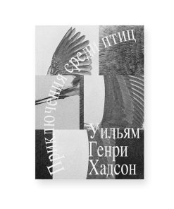 Приключения среди птиц