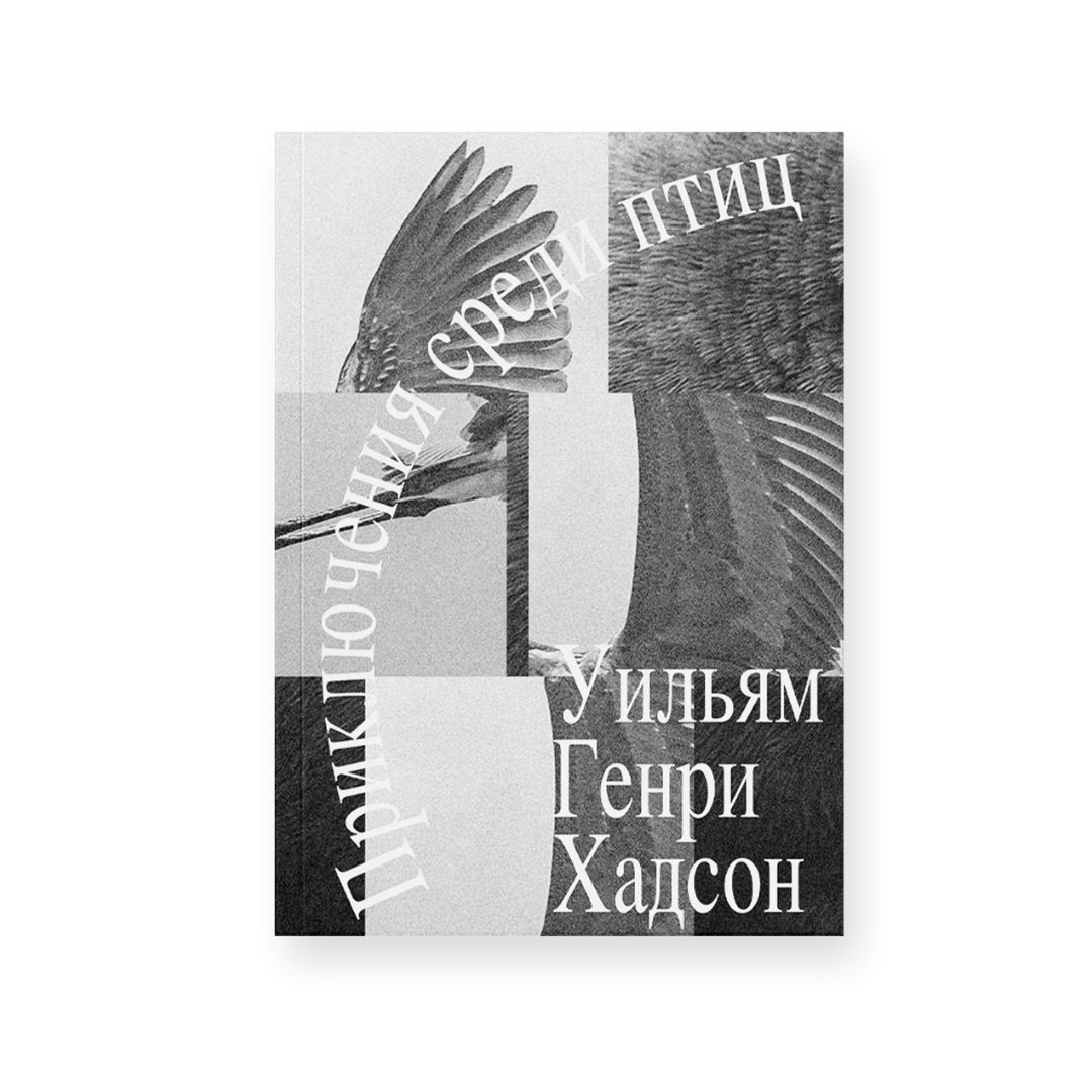 Приключения среди птиц