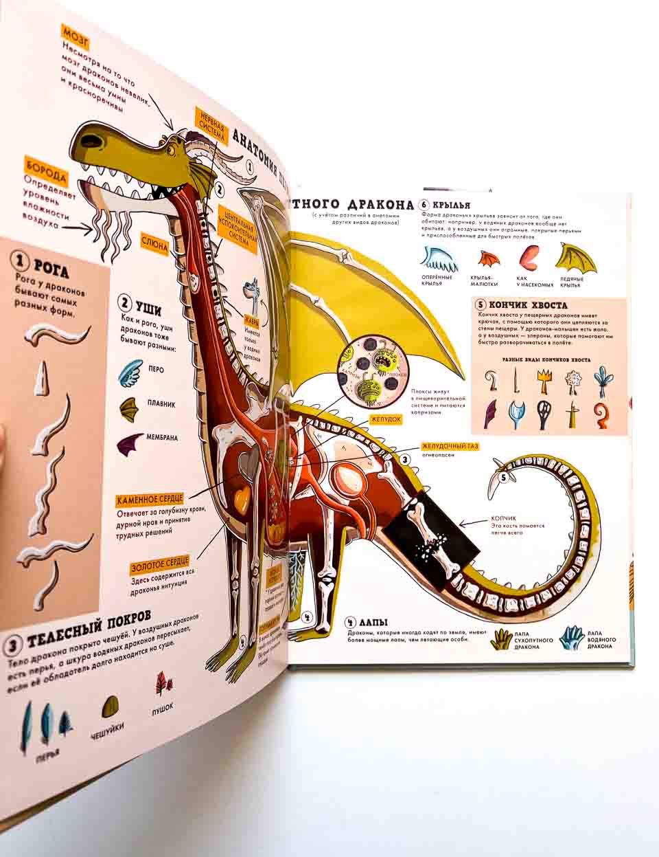 Драконы. Факты, слухи и легенды - Image 6