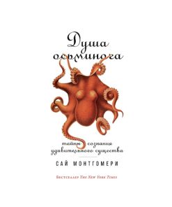 Душа осьминога. Тайны сознания удивительного существа