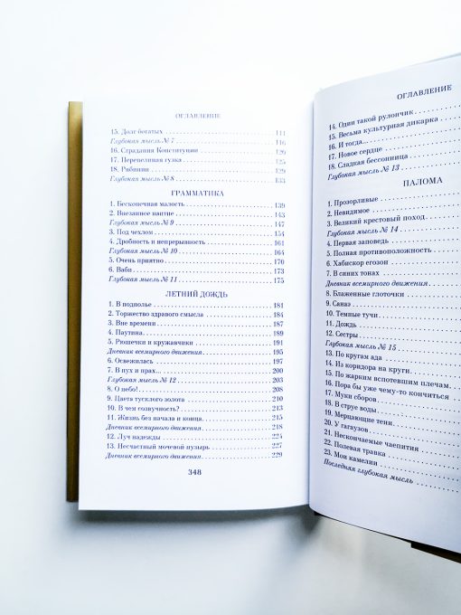 Элегантность ежика - Image 3