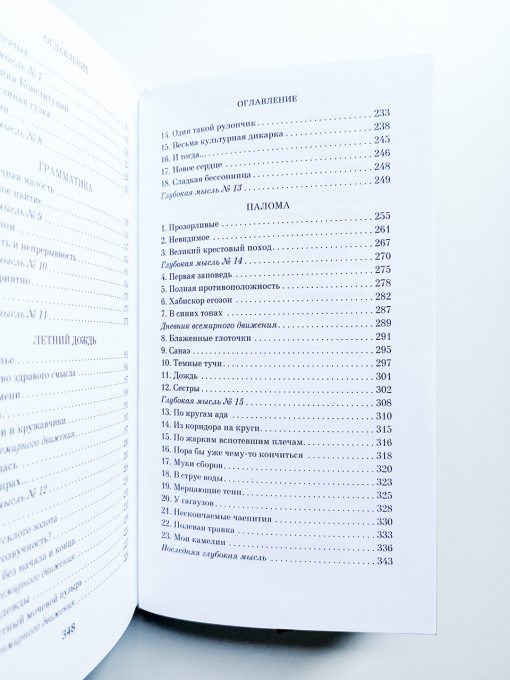 Элегантность ежика - Image 4