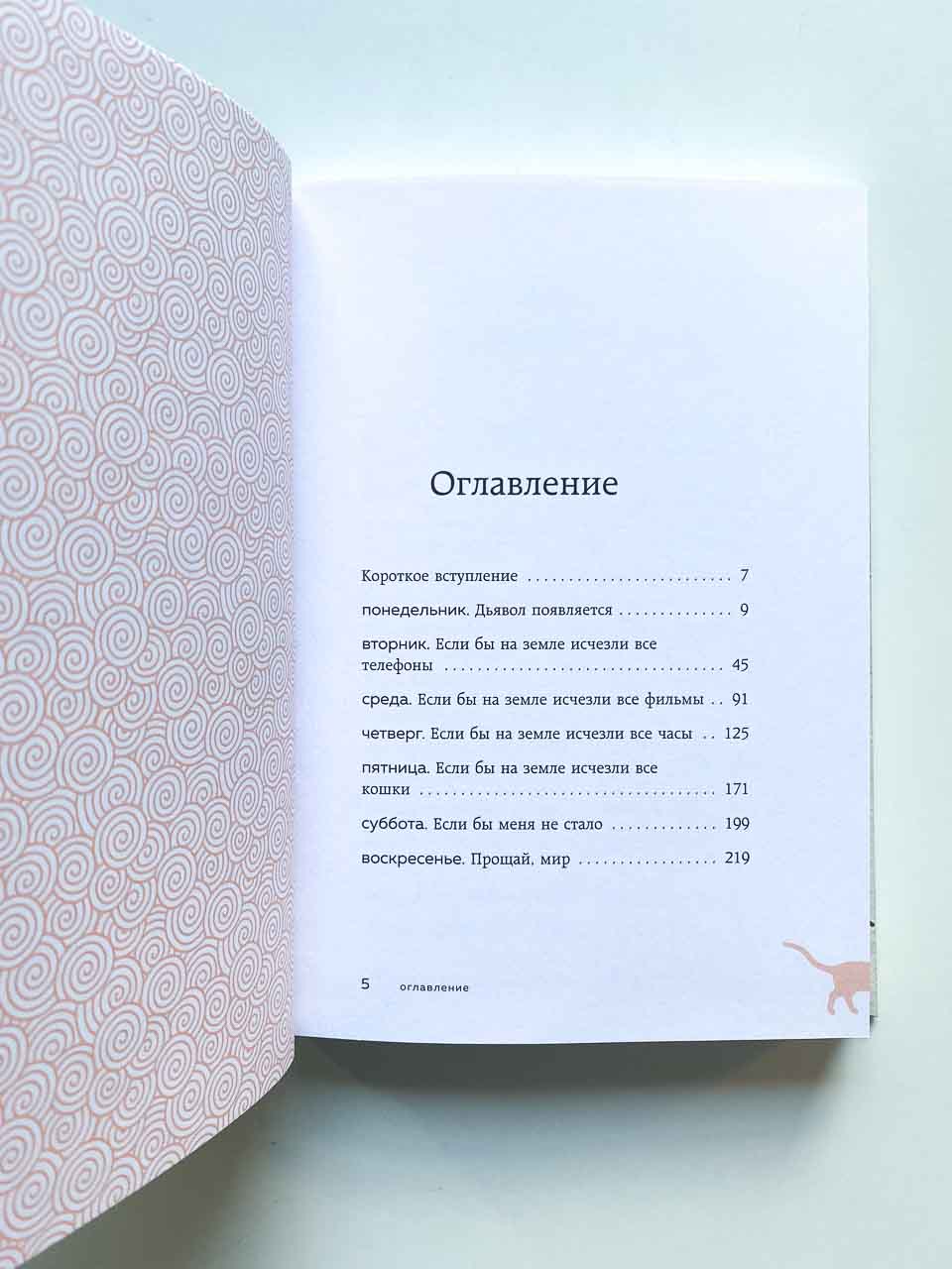 Если все кошки в мире исчезнут - Image 2
