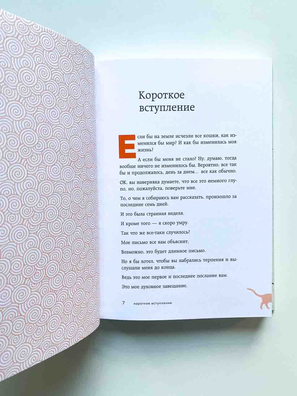 Если все кошки в мире исчезнут - Image 3