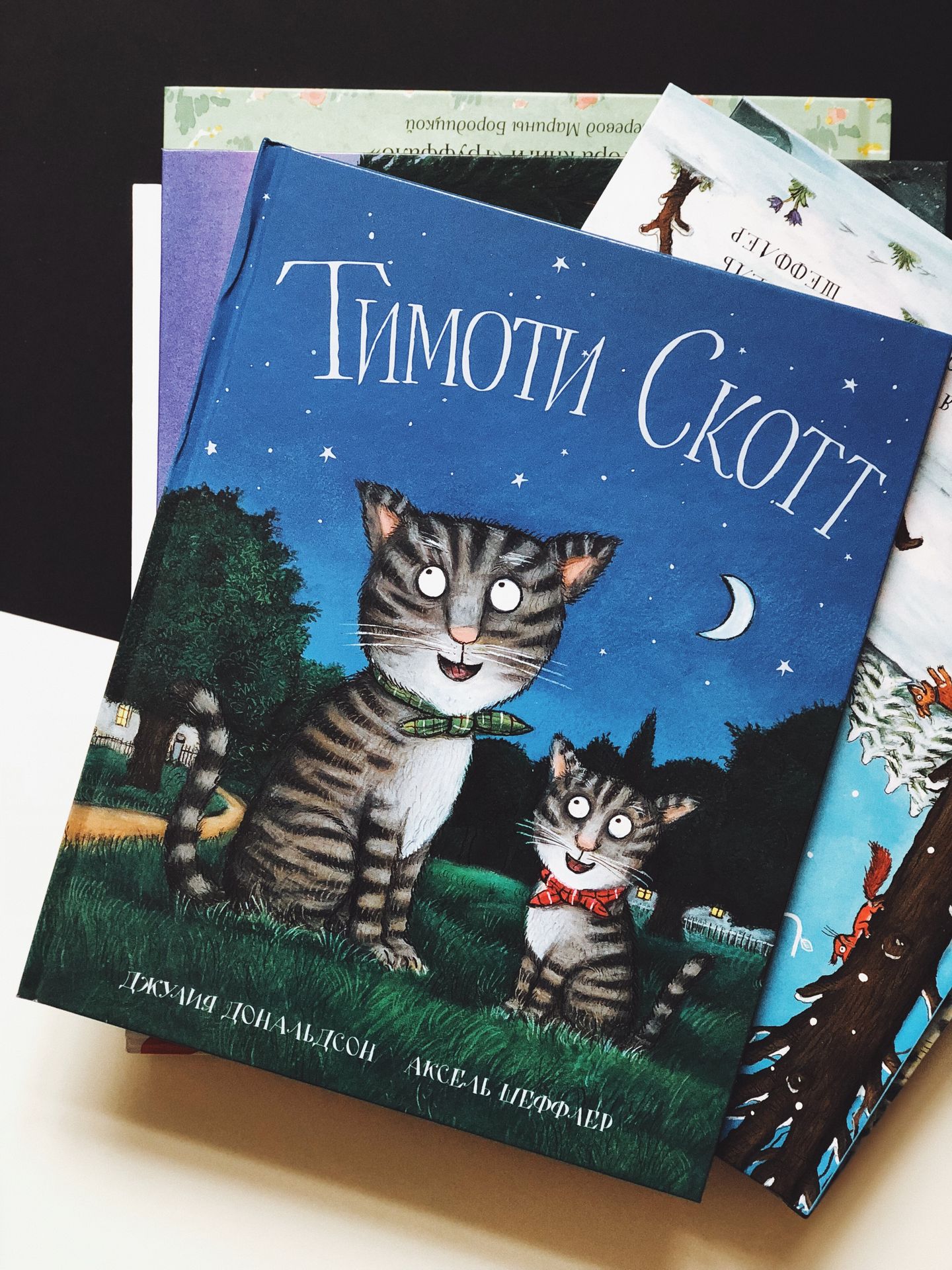 Тимоти Скотт