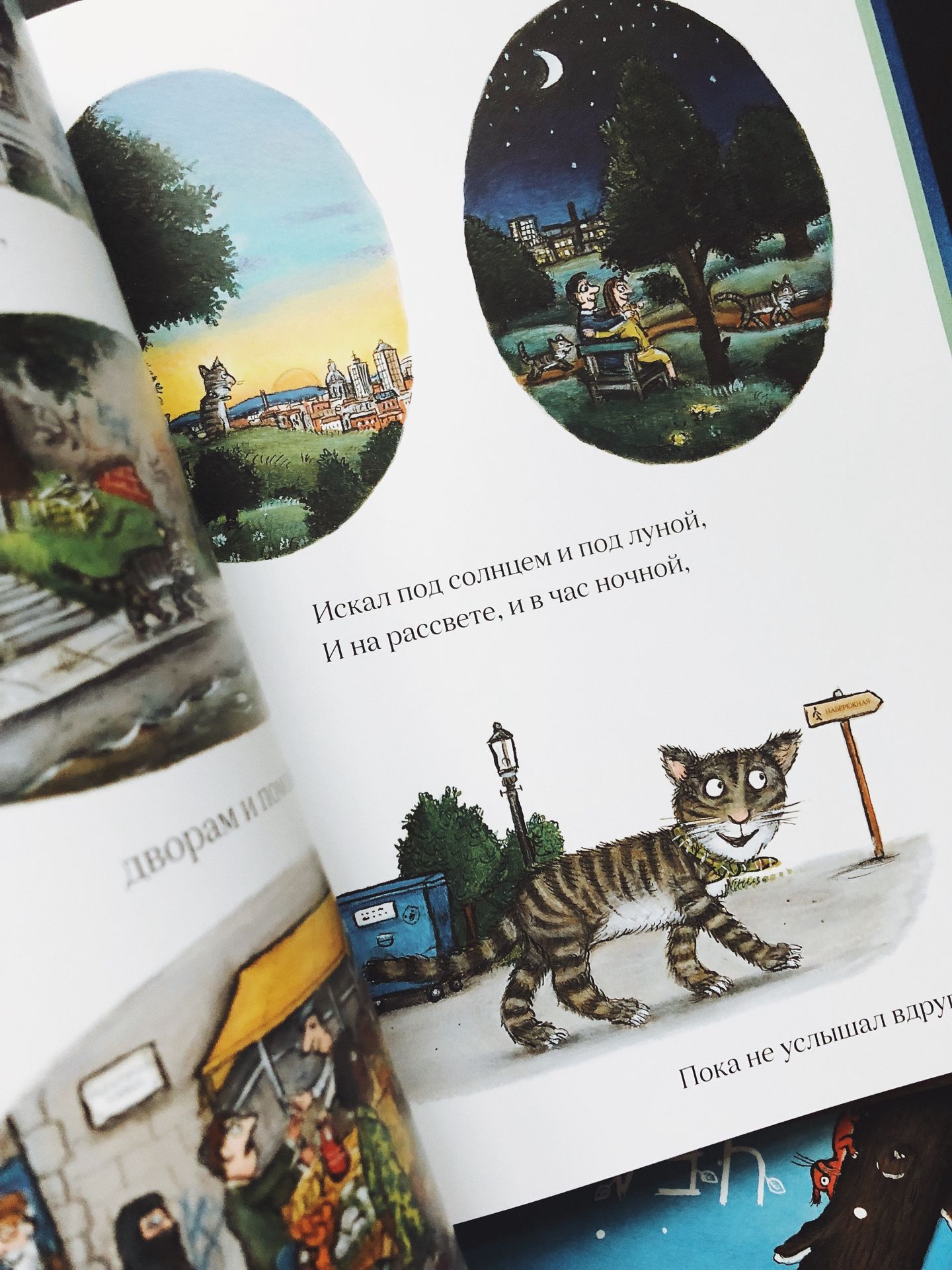 Тимоти Скотт - Image 3