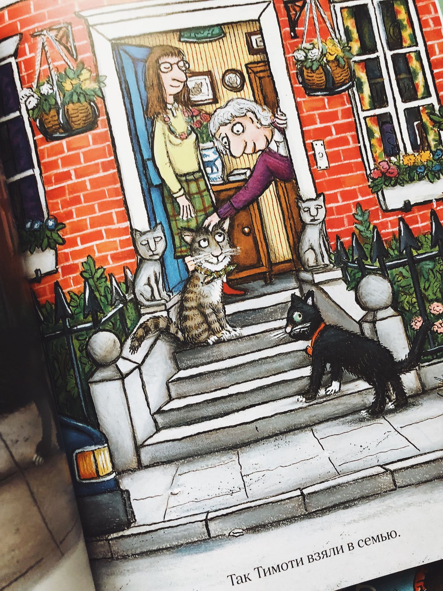 Тимоти Скотт - Image 4