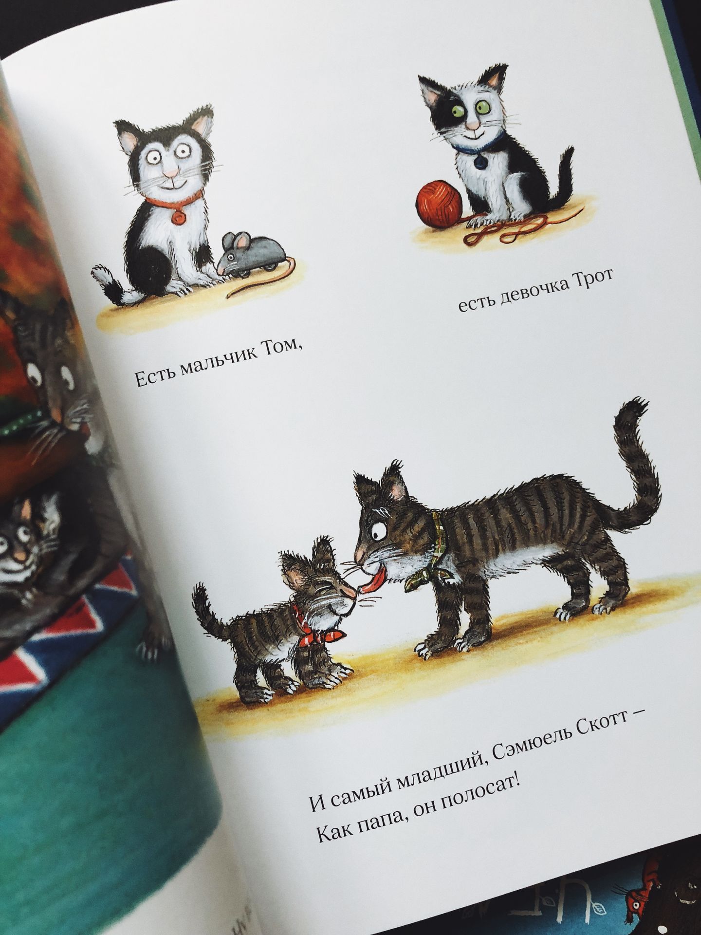 Тимоти Скотт - Image 2