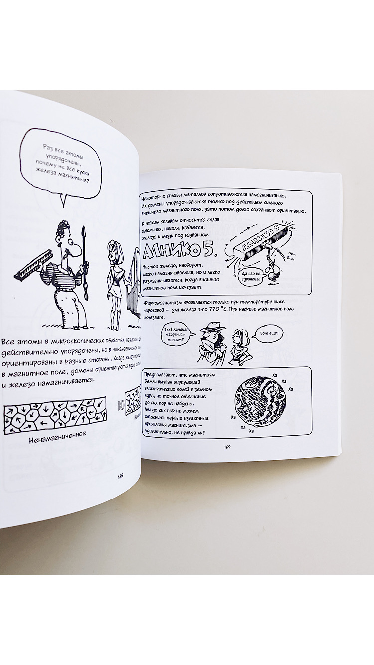 Физика. Естественная наука в комиксах - Image 7