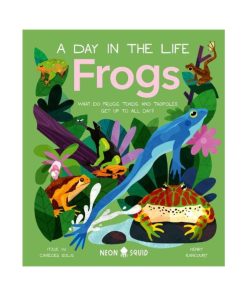 Frogs (A Day in the Life): What Do Frogs, Toads, and Tadpoles Get Up to All Day? (Hardback)