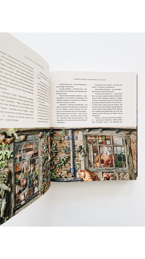 Гарри Поттер и кубок огня. Подарочное издание (4) - Image 2