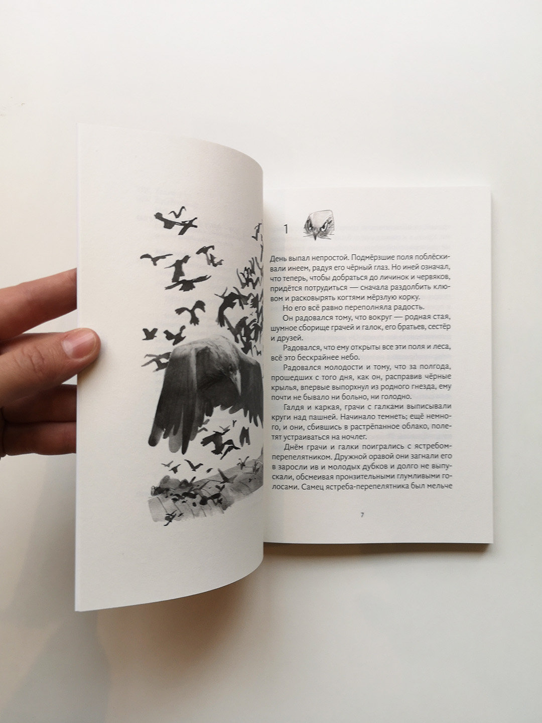 Грач (3) - Image 2