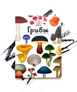 Грибы