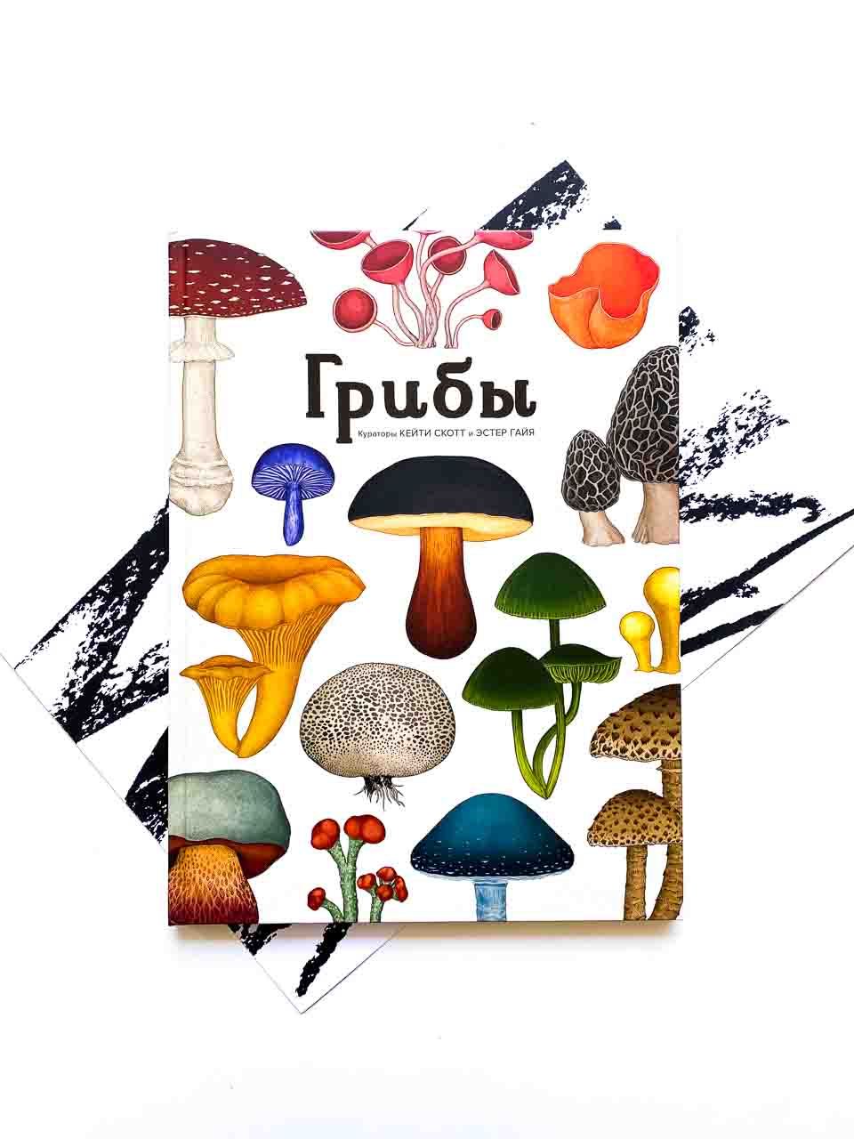 Грибы