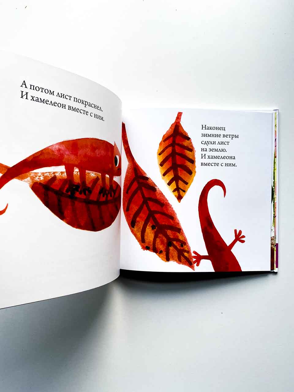 Хамелеон - Image 2