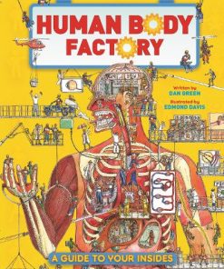 The Human Body Factory: A Guide To Your Insides (Hardback)