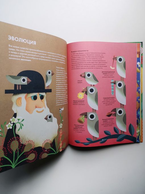 Солнечный свет на завтрак - Image 16