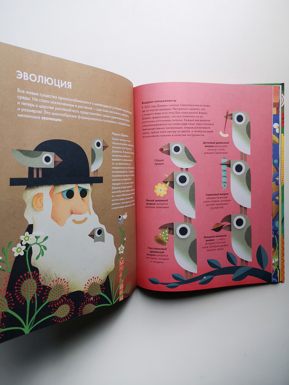 Солнечный свет на завтрак - Image 16