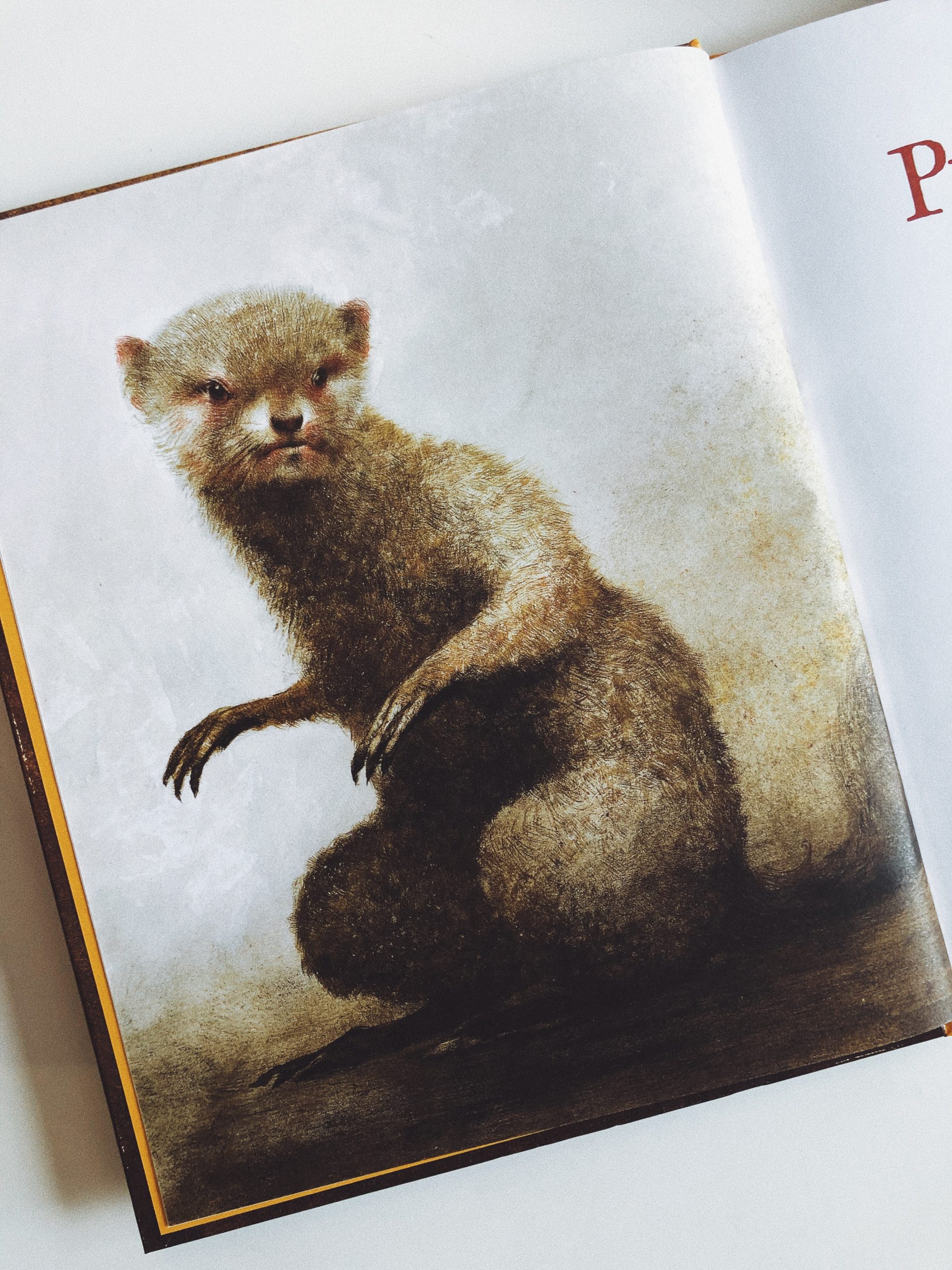 Рикки-Тикки-Тави - Image 4