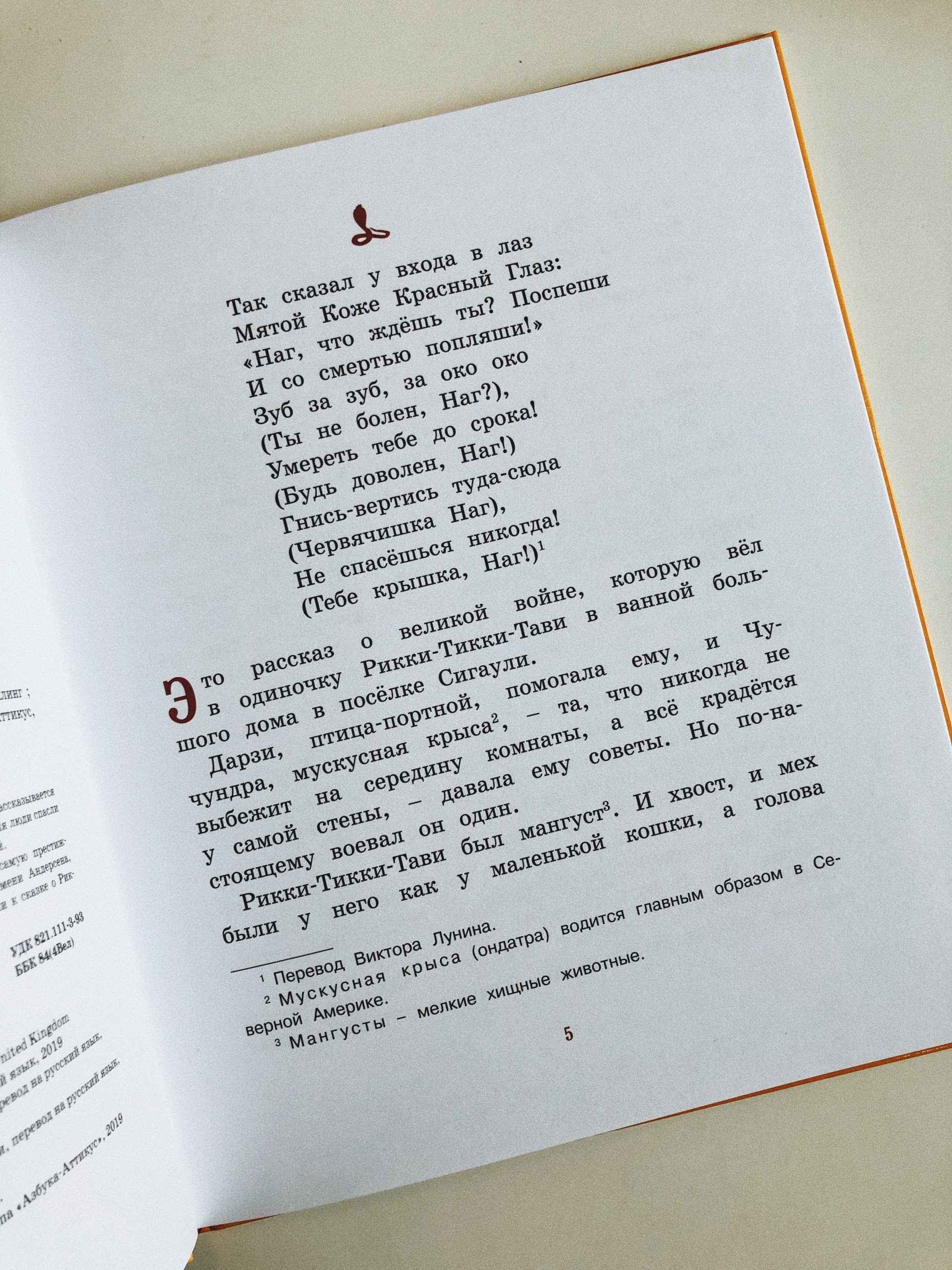 Рикки-Тикки-Тави - Image 5