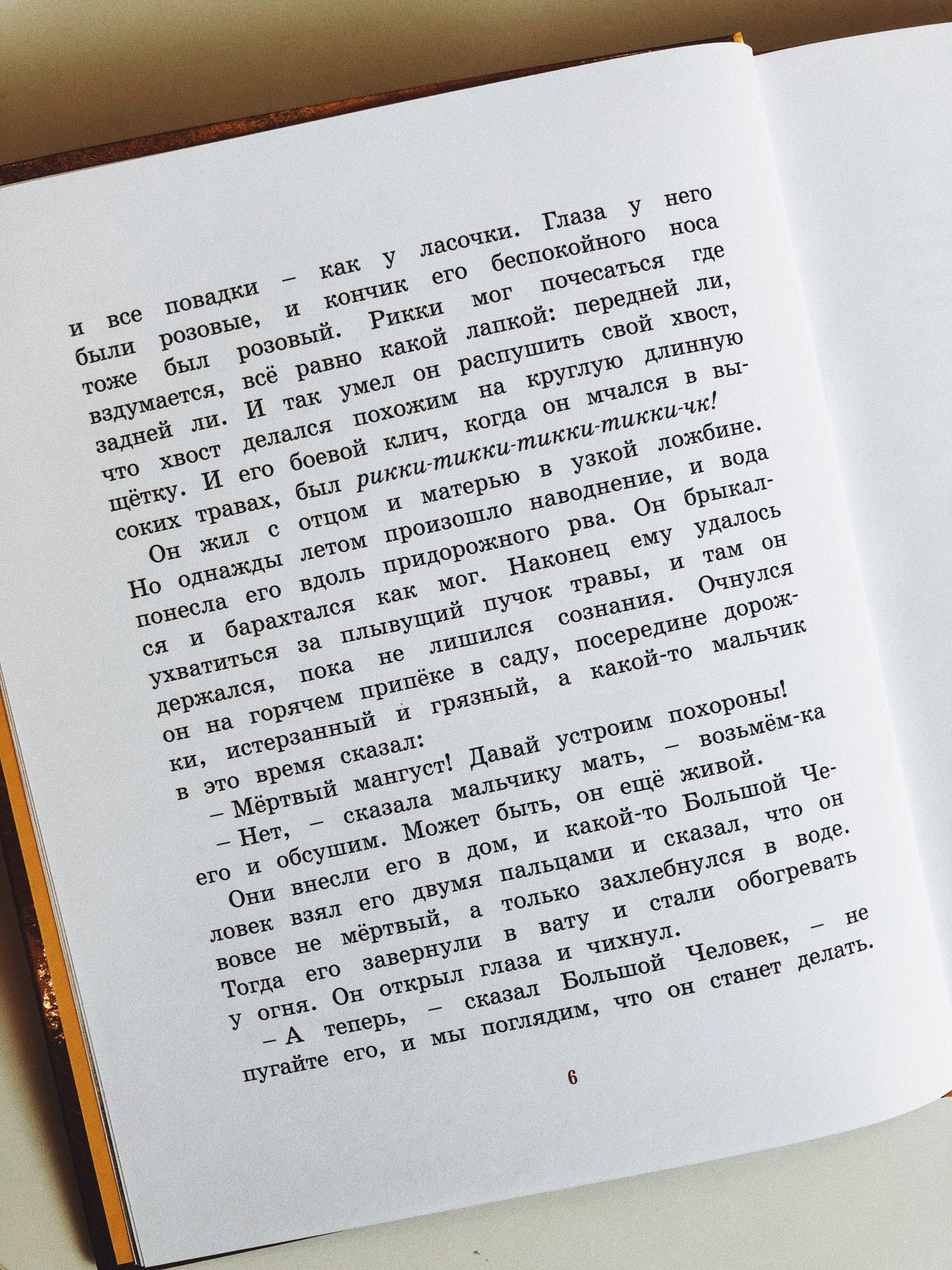 Рикки-Тикки-Тави - Image 2