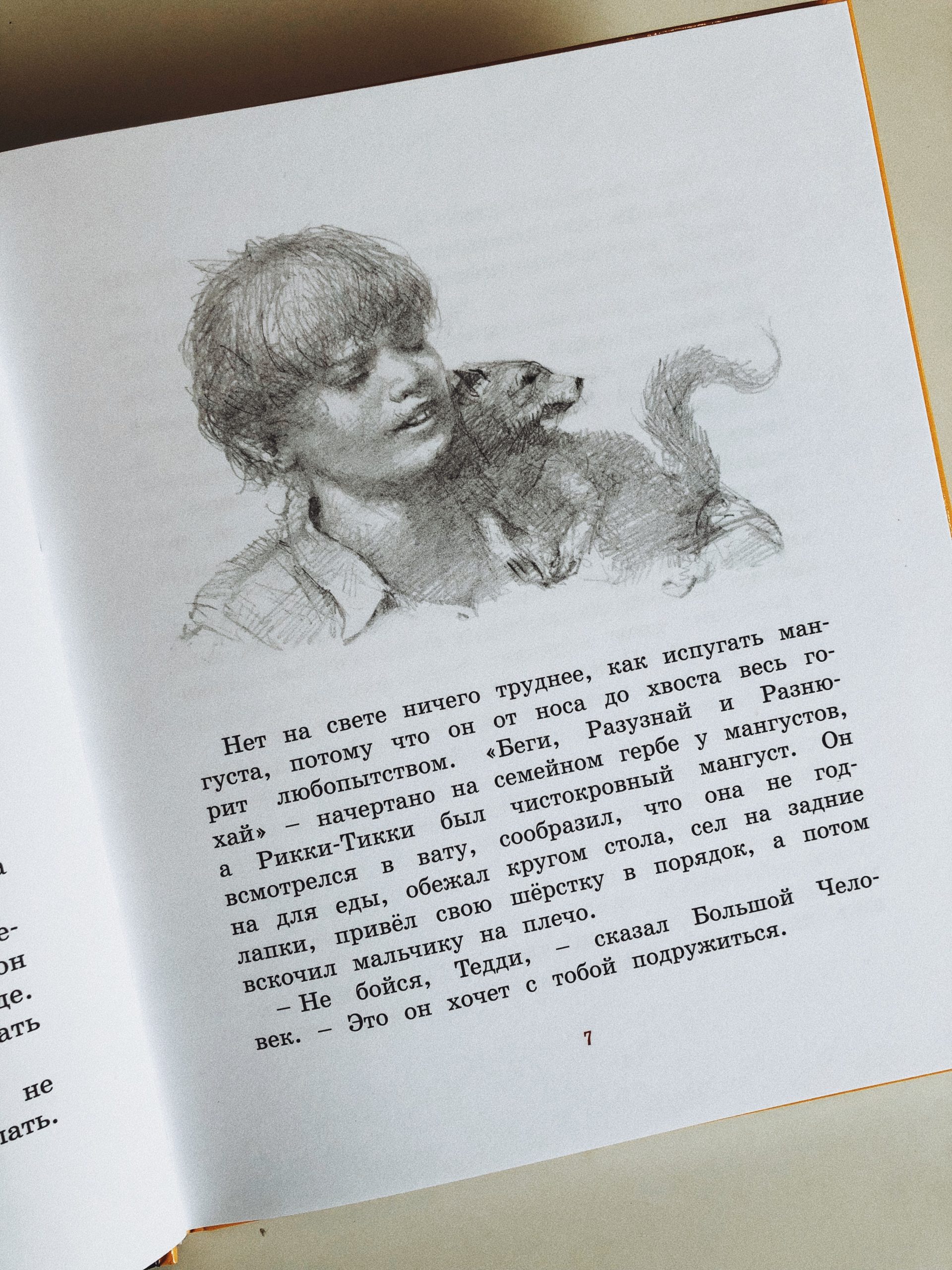 Рикки-Тикки-Тави - Image 3