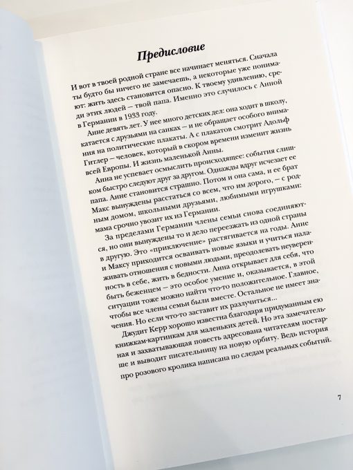 Как Гитлер украл розового кролика (1) - Image 3