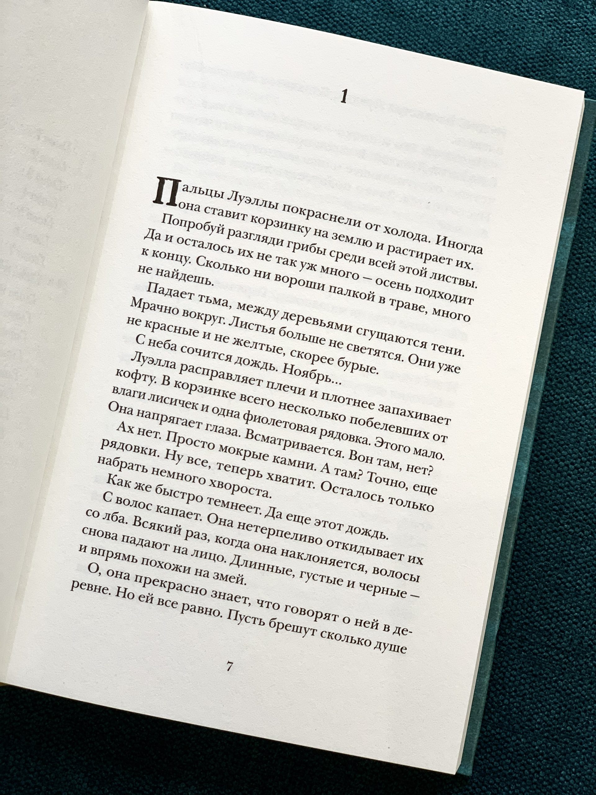 Папа Пелерин - Image 2