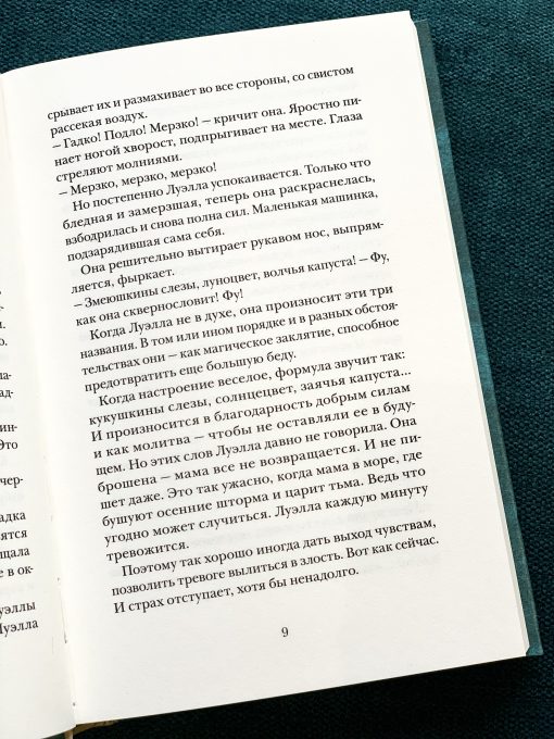 Папа Пелерин - Image 5