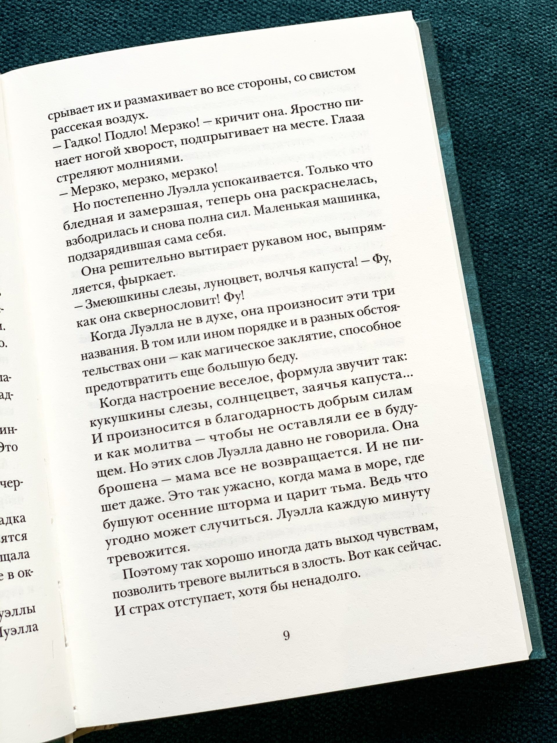 Папа Пелерин - Image 5