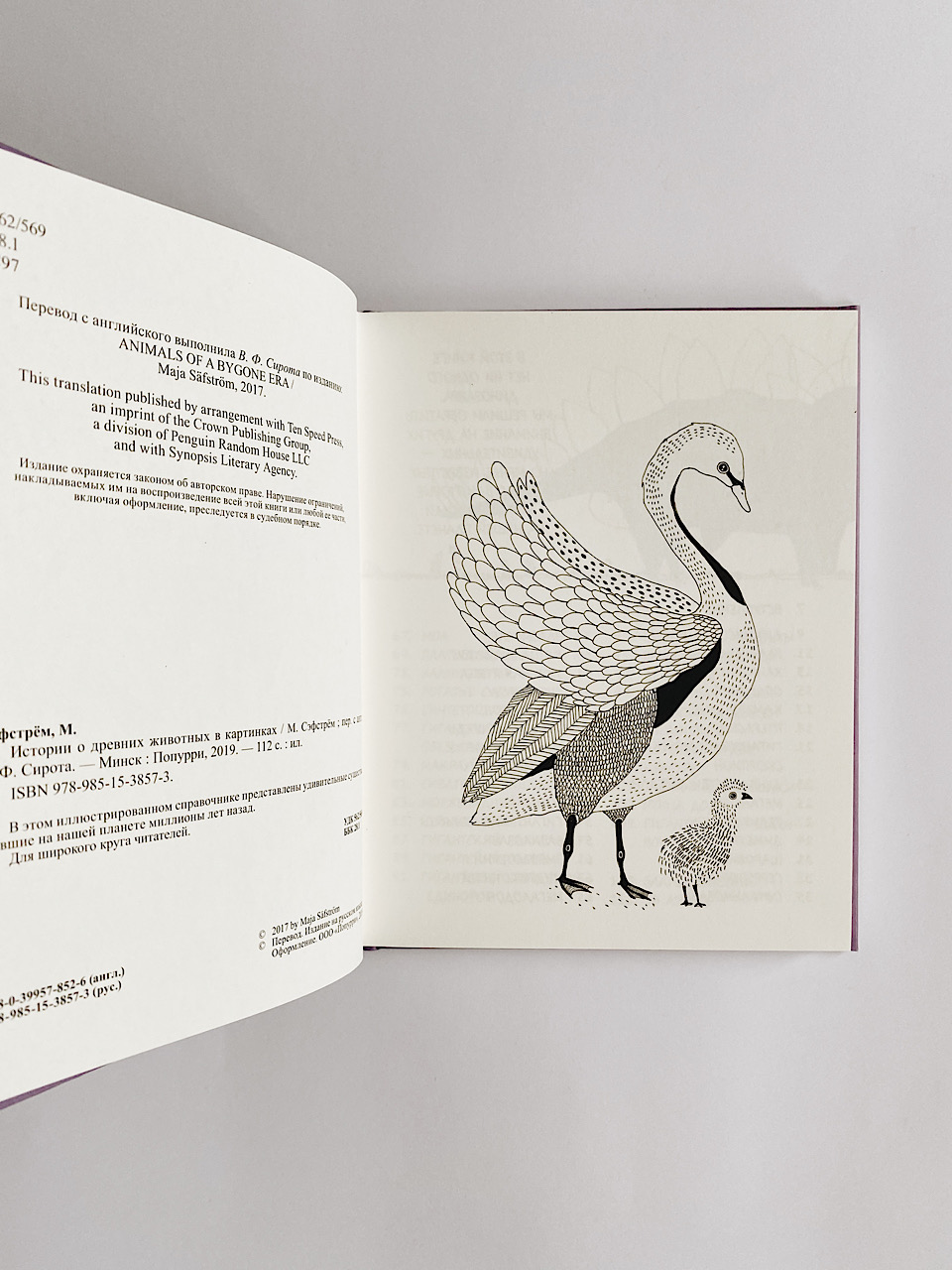 Истории о древних животных в картинках - Image 2