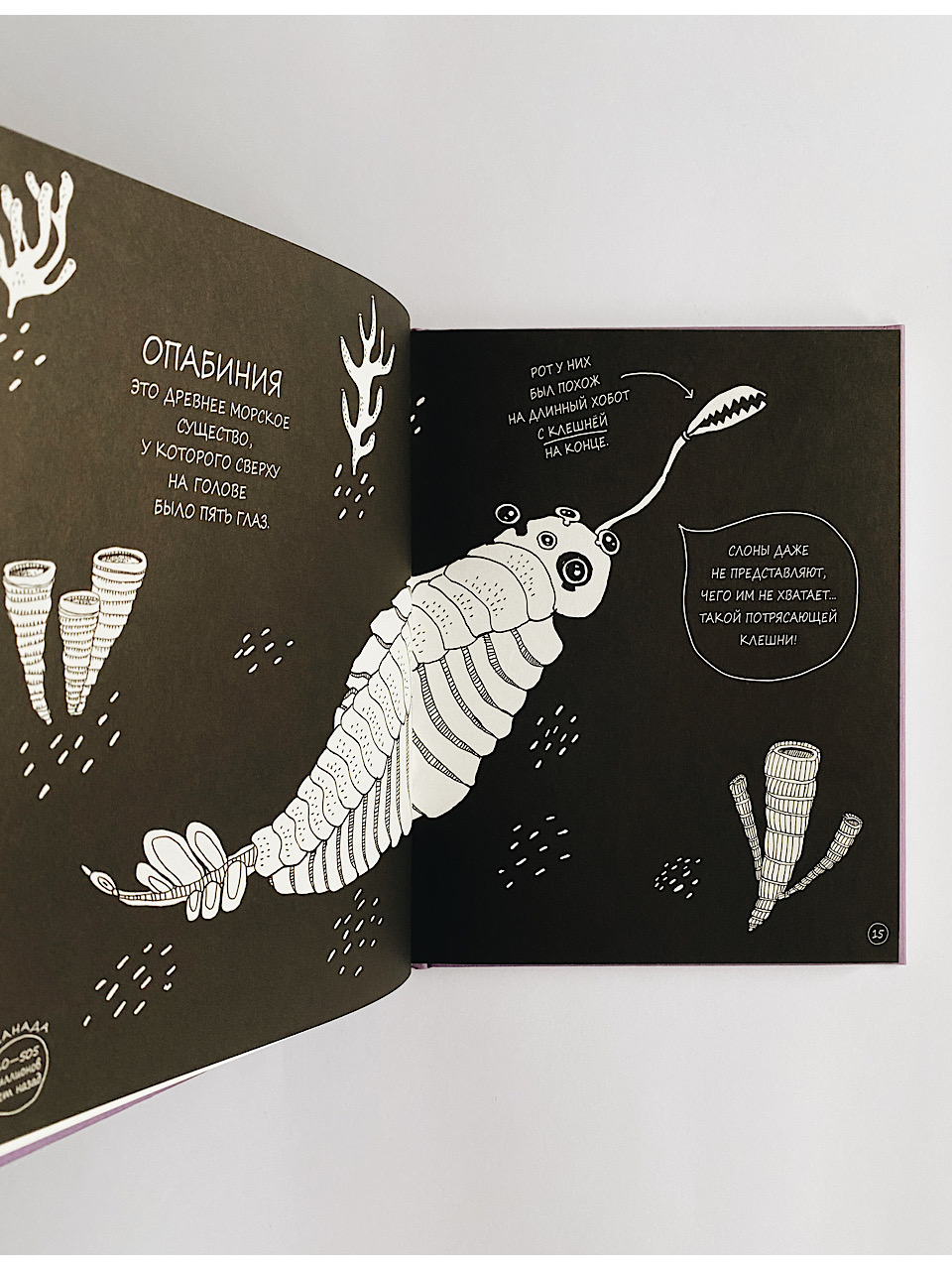 Истории о древних животных в картинках - Image 3